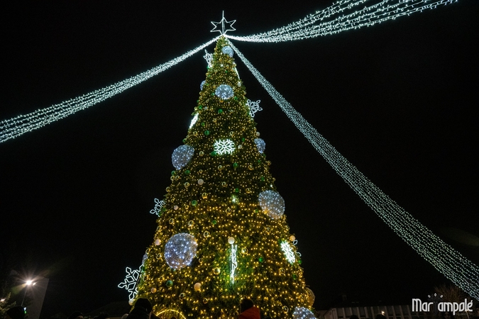 Marijampolės Kalėdų eglės įžiebimas