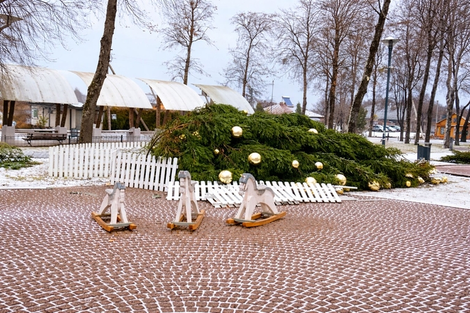 Nuvirtusi Kalėdų eglė