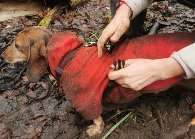 Operacija: ugniagesiai gelbėtojai išlaisvino urve įstrigusį taksą, kuriam spąstus paspendė jo paties petnešos.