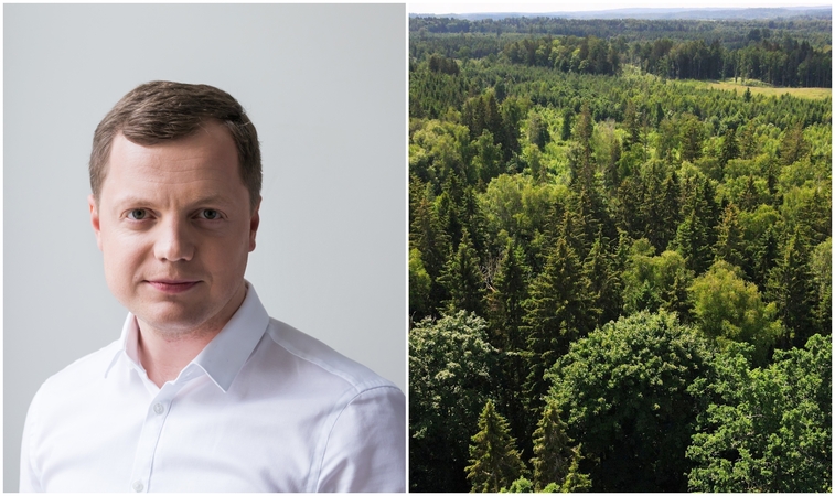 Svarbu: M. Tarnauskas, prieš pusę metų pradėjęs vadovauti Valstybinei miškų tarnybai, norėtų, kad visuomenę pasiektų ir pozityvios žinios apie miškų politiką.