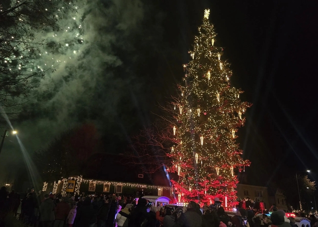 Nušvito aukščiausia Lietuvoje – Priekulės eglė