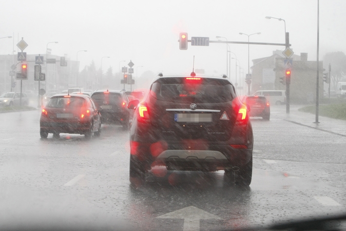 Prognozės: artėjanti savaitė bus lietinga, tačiau vyraus pliusinė temperatūra.