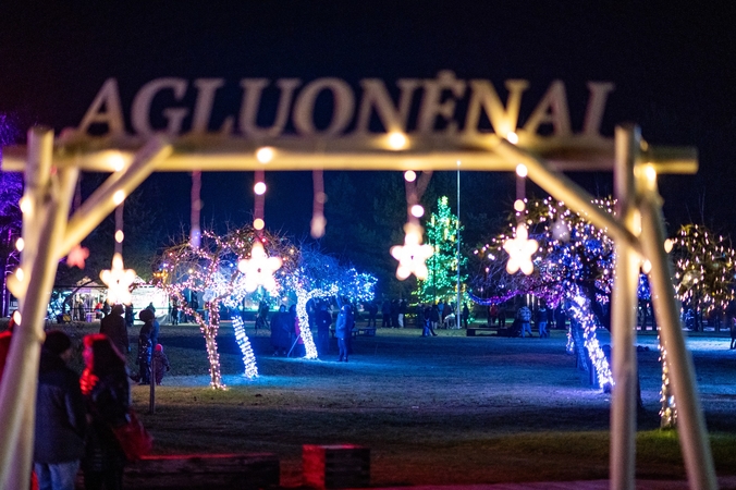 Vaizdai: klaipėdiečiai advento laikotarpiu važiuoja į Agluonėnus pasigrožėti šviečiančiu sodu.