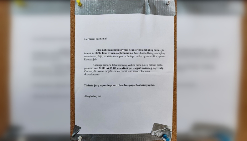 Siūlymas: anot skelbimo autorių, vokalinius sugebėjimus galima tobulinti dienos, o ne nakties metu.