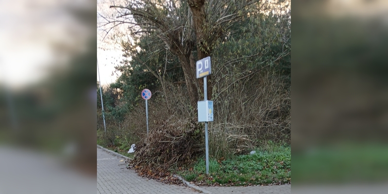 Problema: manoma, kad šakos Kopų gatvėje guli jau beveik mėnesį.