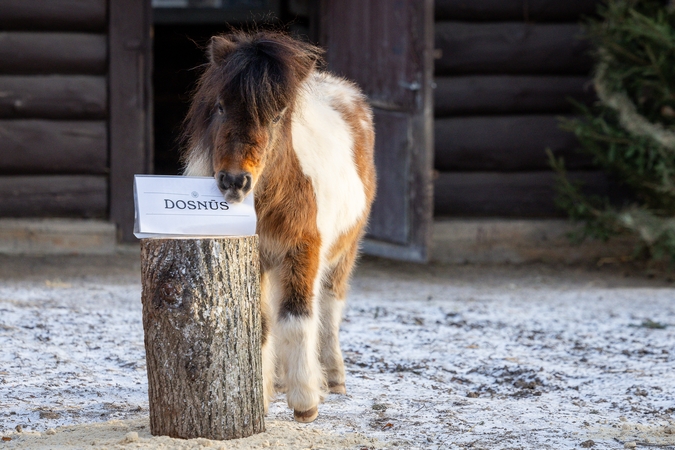 Lietuvos zoologijos sode –2026 metų pranašystė
