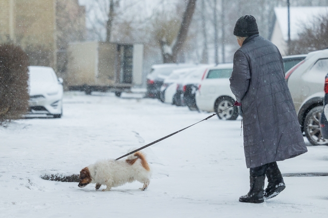 Artėja speigas: iš sinoptikų, medikų, policijos ir ugniagesių – itin svarbi žinutė