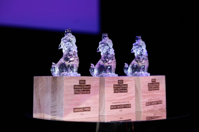 Vilniaus trumpųjų filmų festivalio pagrindinį apdovanojimą pelnė filmas „(Nebe)savo odoje“
