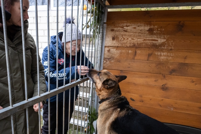 Pagalba: suomių savanori nori labiau padėti tiems gyvūnams, kurie dėl įvairių sveikatos ir elgesio problemų turi mažai galimybių rasti namus net Suomijoje. 