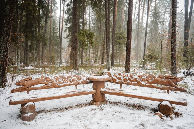 Panemunės šile – specialiai nevalyti takai slidininkams