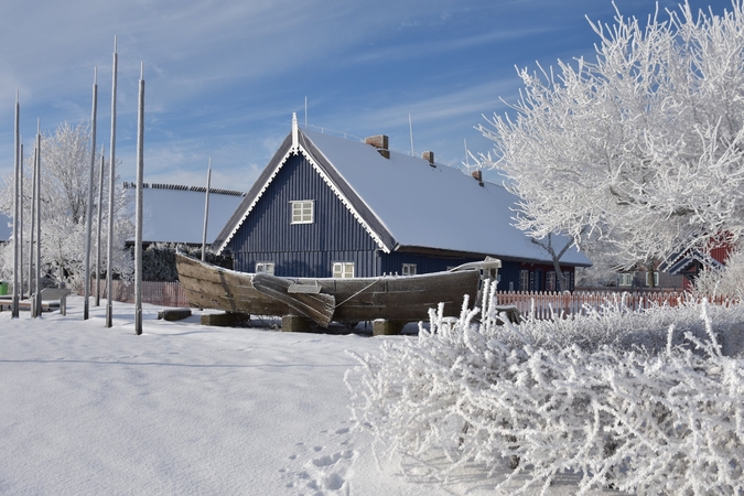 Neringa pasipuošė šerkšnu
