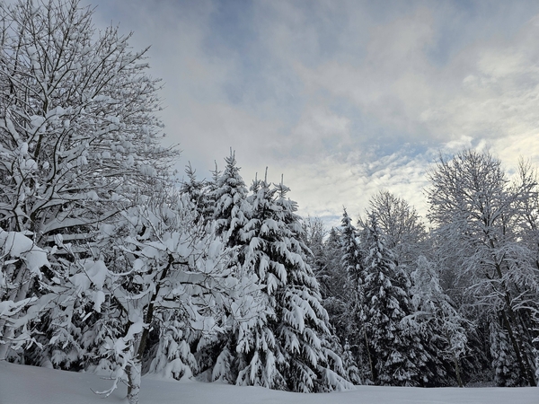 Klišonis neatmeta, kad aplinkiniai rajonai taip pat galėtų skelbti ekstremaliąją situaciją
