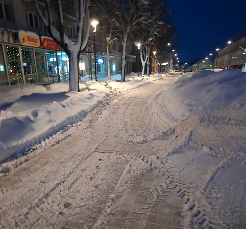 Plungė vaduojasi iš sniego