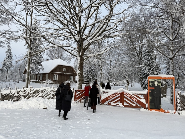 Paminėtos 130-osios Stepono Dariaus gimimo metinės