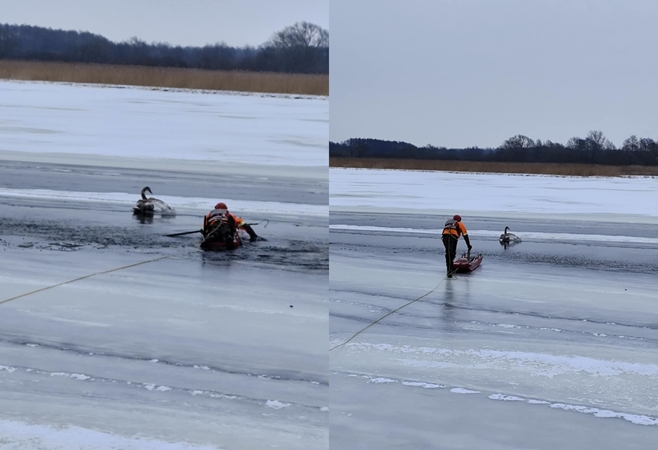 Skirvytės upėje – gelbėjimo operacija
