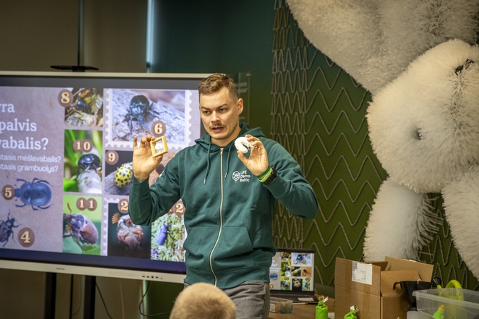 Auksavabalio edukacija