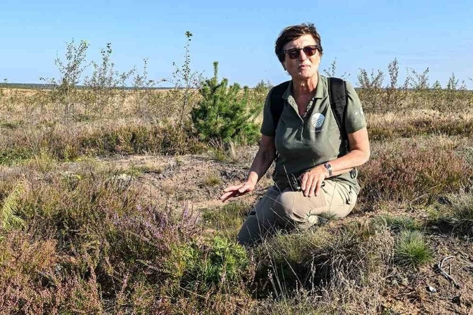 Tendencija: VSTT gamtosaugos ekspertė dr. D. Matulevičiūtė pastebi, kad poligonai gali tapti retų rūšių prieglobsčiu.