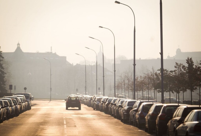 Aplinkos ministerijos atstovas: Lietuvos taršos byla ESTT gali lemti skausmingas baudas