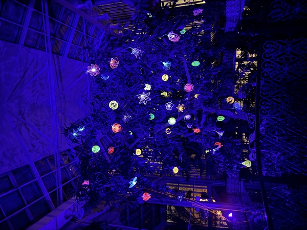 Kretingos muziejaus Žiemos sode rojaus spalvomis pražys „Gyvybės medis“