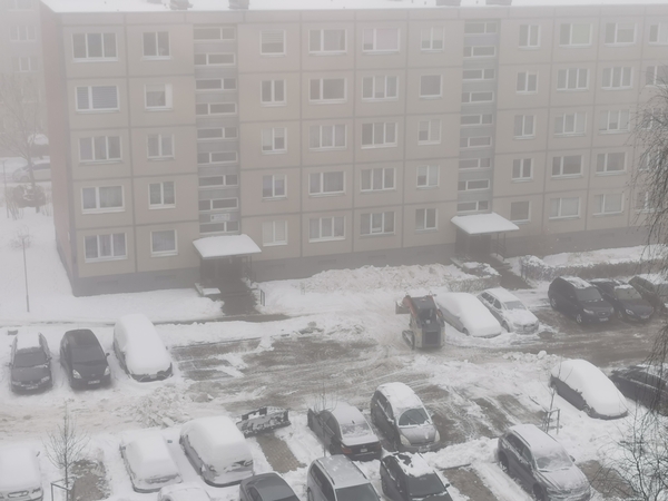 Ignoravo: daugiabučių kiemuose sniegas buvo valomas iš anksto informavus gyventojus, tačiau ne visi patraukė automobilius.