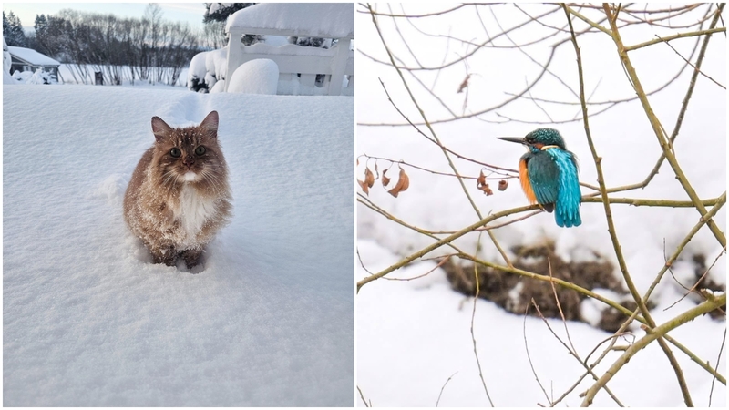 Sinoptikai: stipriau spaus šaltukas