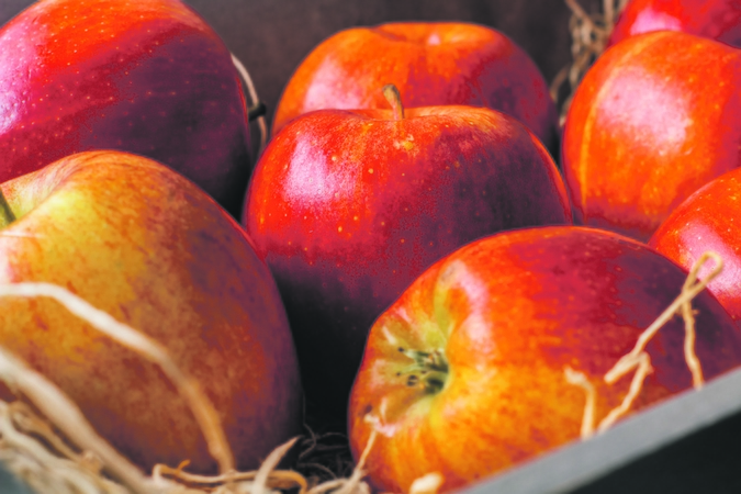 Rekordininkai: obuoliai, palyginti su praėjusiais metais, pabrango dvigubai ar net daugiau.