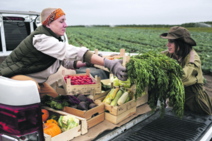 Kokybė: Europoje galioja griežti maisto gamybos reikalavimai, todėl jis brangesnis, jį lengvai nukonkuruotų pigesnis, nors ir ne toks kokybiškas maistas. 