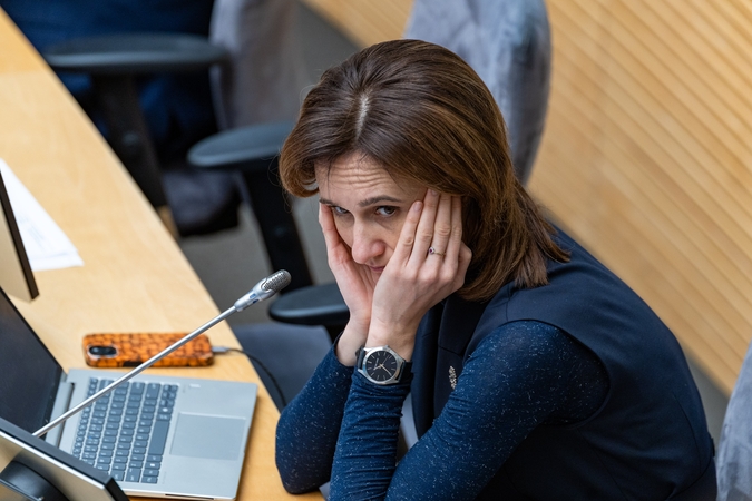 Čmilytė-Nielsen kritikuoja valdžios neveiksnumą dėl kontrabandinių balionų