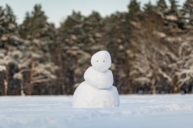 Vėl užfiksuota šalčiausia naktis per pastaruosius dvejus metus