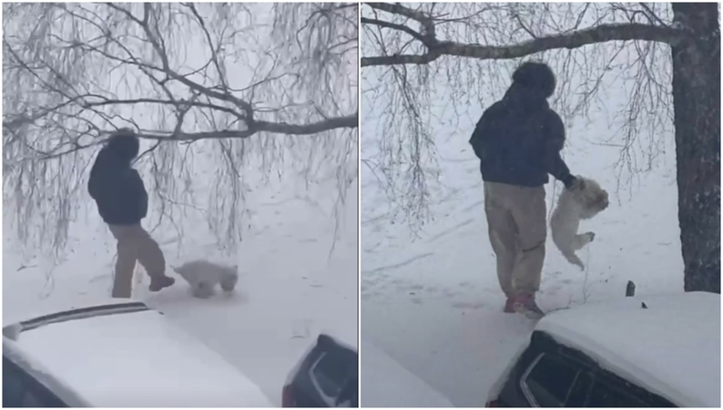 Užfiksavo spardomą šuniuką: sunku suprasti