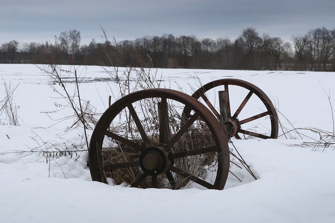 Ministerija paskelbė, kada dalį ūkininkų pasieks beveik 19 mln. eurų