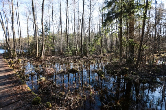 Valdovų rūmuose – Pasaulinės pelkių ir kitų šlapynių dienos minėjimas