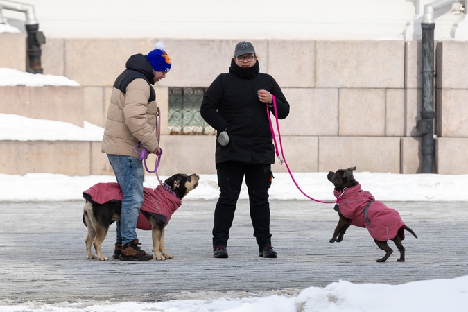 Kauniečių diena (2026-02-21)