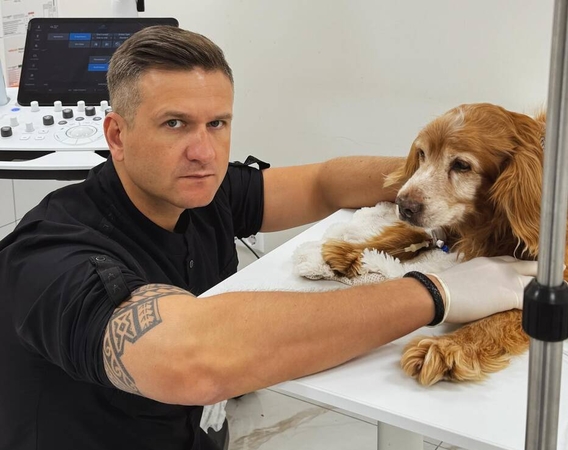 Kova: veterinarijos gydytojas P. Morkūnas sako, kad Gausas iki šiol kovoja su savo ligomis.