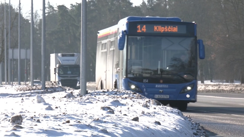 Viešasis transportas