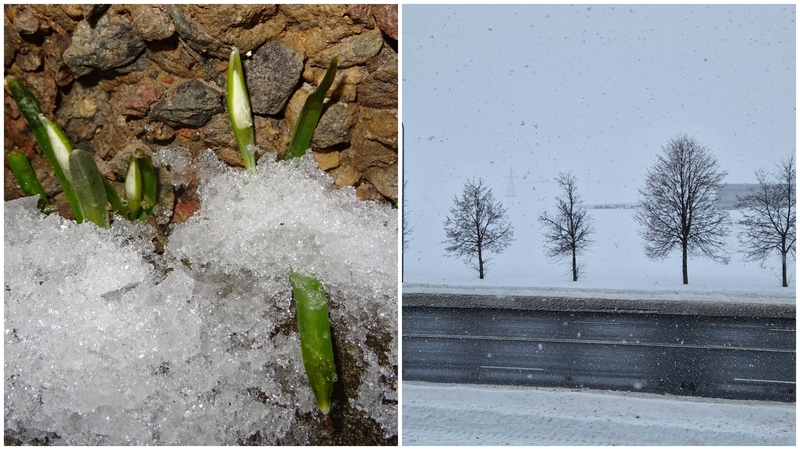 Meteorologas: tai yra gerai