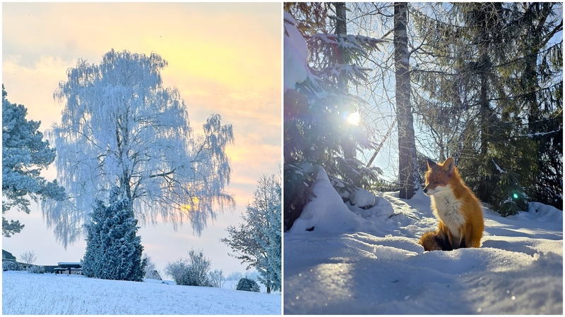 Meteorologai: nusiteikime – vyraus žemesnė nei įprastai temperatūra