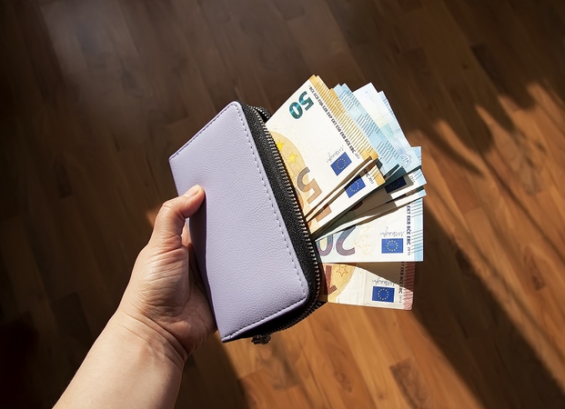 Paskelbė, kas sausį mokėjo didžiausias algas: kai kas gavo ir beveik po 80 tūkst. eurų