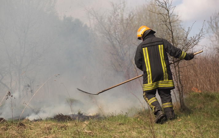 Ugniagesiai: šiemet užsiliepsnojus žolei išdegė 39 hektarai atvirųjų teritorijų