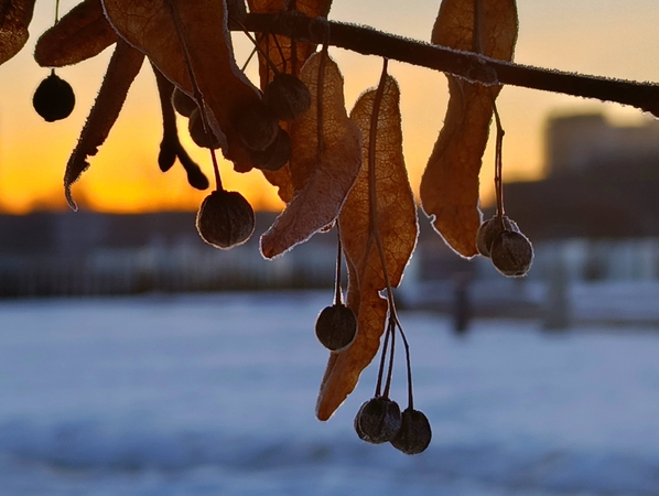 Sinoptikai: oras šils, bet pavojingų reiškinių išliks
