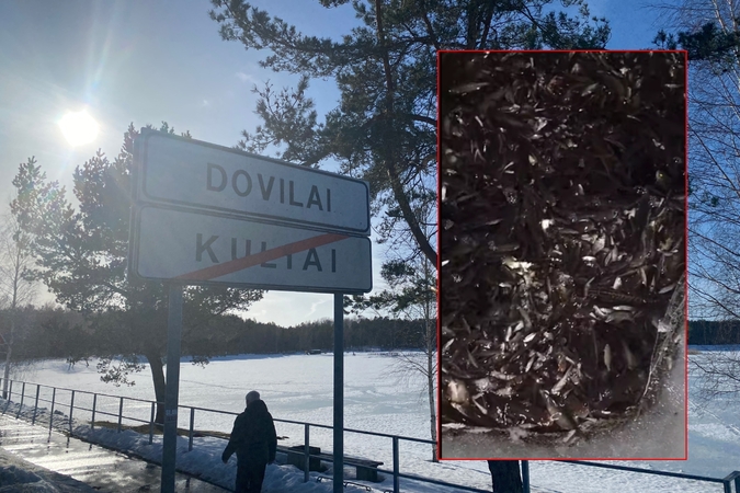 Gyvybė: vienoje iš ekečių Dovilų karjere moteris išvydo tokią žuvų daugybę, kokios dar gyvenime nebuvo regėjusi.