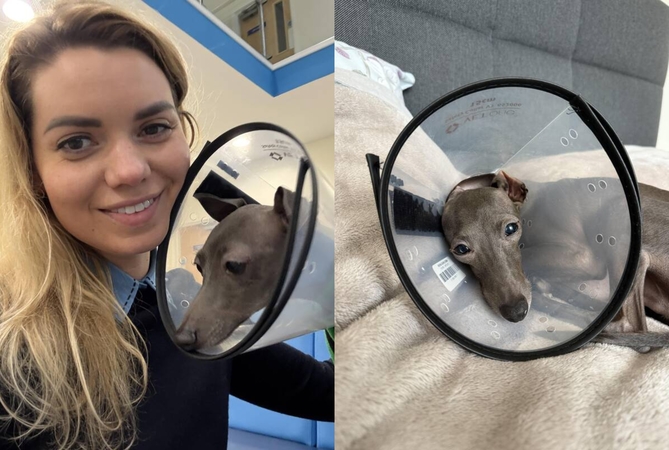 Nepasidavė: Sandra net aplankiusi penkias veterinarijos klinikas ir išgirdusi sudėtingą diagnozę dėl Zuzu nenuleido rankų ir galop padėjo savo šeimos nariui susigrąžinti regėjimą.