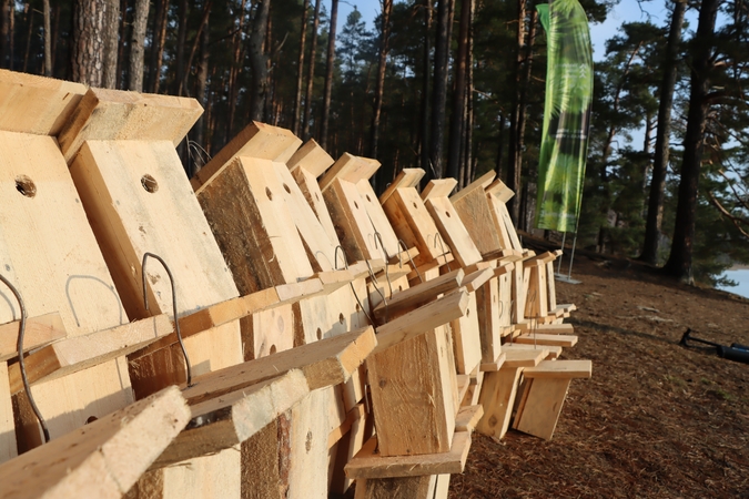 Paukščiai grįžta namo: visoje Lietuvoje tęsiama šimtametė inkilų kėlimo tradicija