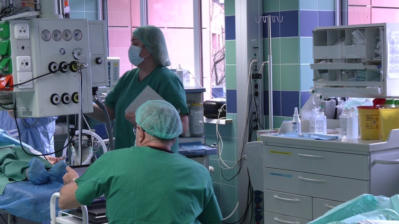 Medikai įspėja: šunų sukandžioti veidai – vis dažnesnė problema