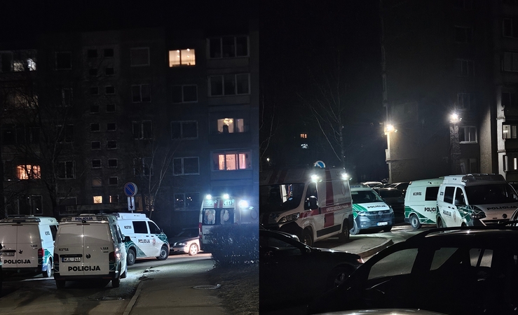 Kaunietis apie tarnybų sujudimą Eiguliuose: situacija atrodė rimta