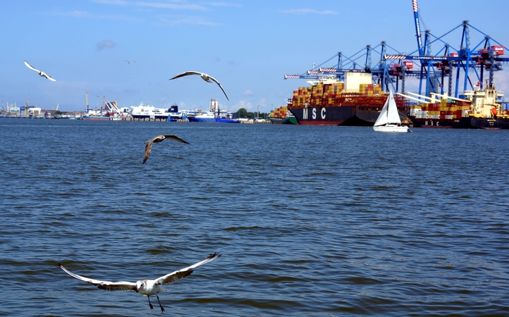 Nurodymas: pasaulinė laivybos kompanija MSC, kuriai priklauso ir kontrolinis „Klaipėdos Smeltė“ akcijų paketas, nurodė savo laivams Persijos įlankoje plaukti į saugų prieglobstį ir sustabdė visų užsakymų gabenimą į Artimuosius Rytus.