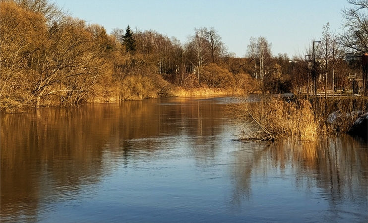 Panevėžyje Nevėžio vandens lygis pasiekė pavojingą ribą