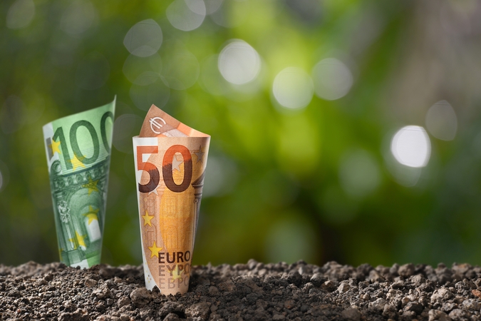 Viceministras: Lietuvoje atrinkta daugiau nei 100 laisvų žemės sklypų investicijoms