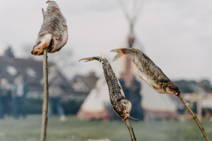 Neringoje – „Žiobrinių“ šventė: įvažiavimas visą parą nemokamas