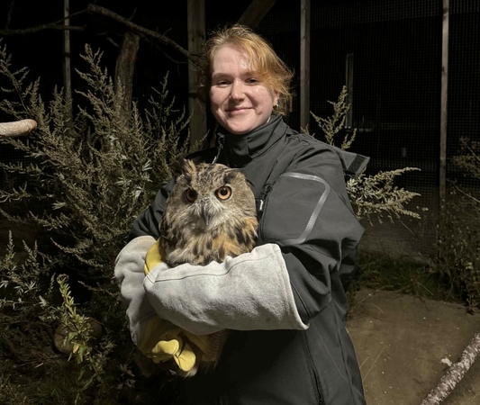 Sėkmė: veterinarijos gydytoja Miglė džiaugiasi, kad po sėkmingo gydymo į laisvę pavyko sugrąžinti balinę pelėdą. 